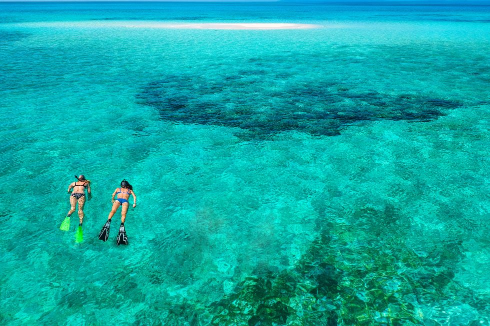 Hinchinbrook-Way-Sand-Cay-East-Of-Orpheus-Snorkling-Mark-Fitzpatrick-2-980x653.jpg